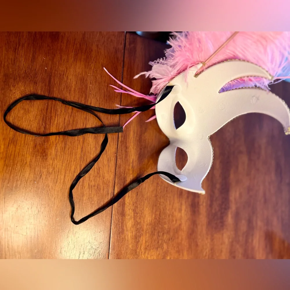 Feathered Can Can/Masquerade Mask